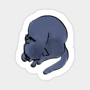 Russian blue cat Magnet