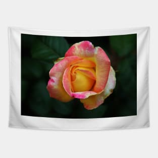 Blooming Rose Tapestry