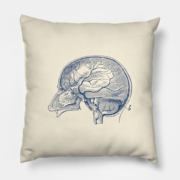 Brain Diagram Two - Anatomy Pillow by Vintage Anatomy Prints