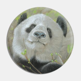 Panda Colured Pencil Drawing Pin