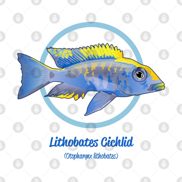 Lithobates Cichlid by Reefhorse