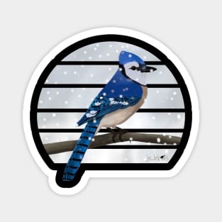 Blue Jay Winter Snow Bird Watching Birding Ornithologist Gift Magnet