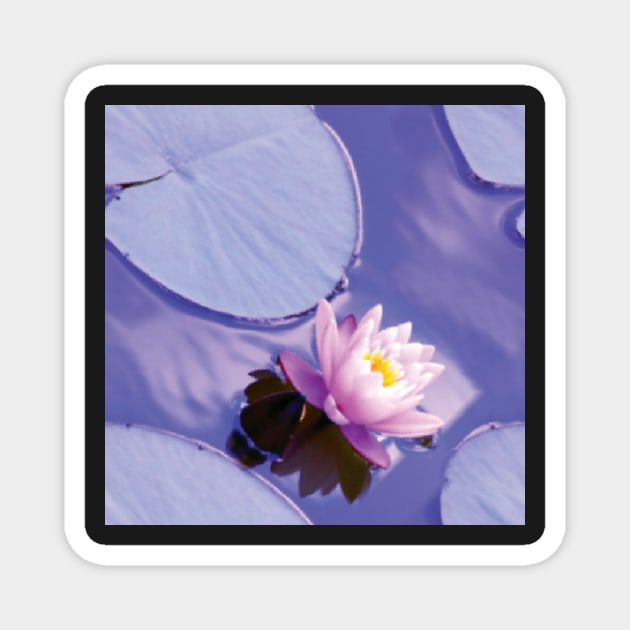 Waterlilies and lily pads Magnet by bettyretro