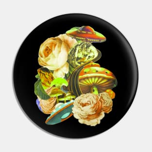 Everyone Know Flowers And Collage Over The Next Pin