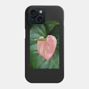 Anthurium Phone Case