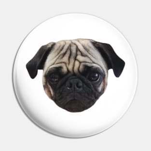 Cute Caesar the Pug Face by AiReal Apparel Pin