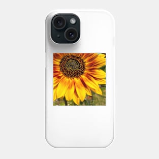 Sunflower Beauty by Debra Martz Phone Case