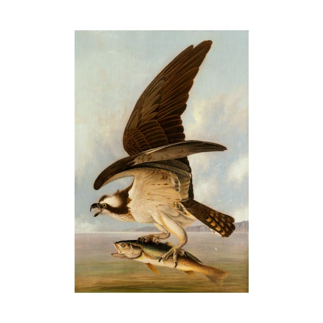 Vintage artwork. Eagle catches fish. Flying eagle. Eagle lover by GoInside