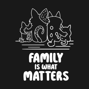 Family Is What Matters T-Shirt