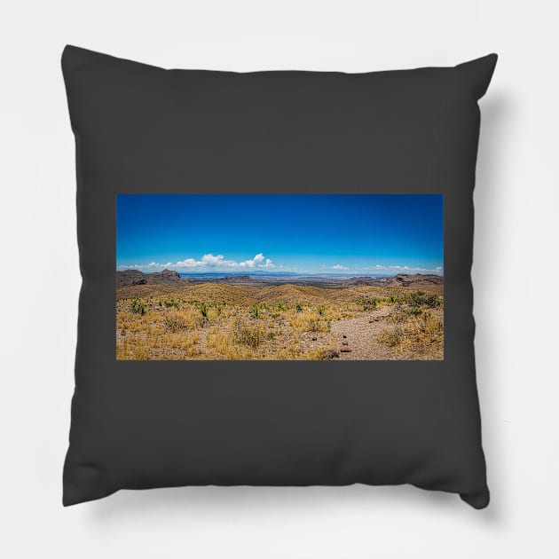 Sotol in the Chihuahuan Desert Pillow by Gestalt Imagery