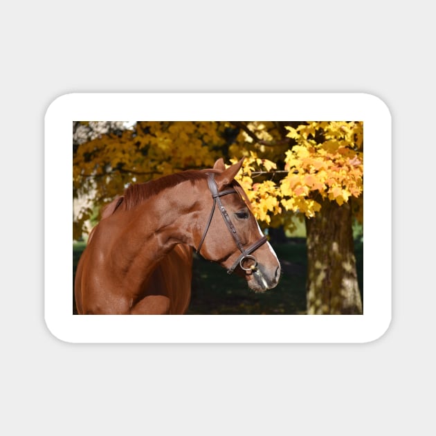 Chestnut mare Magnet by theartsyeq