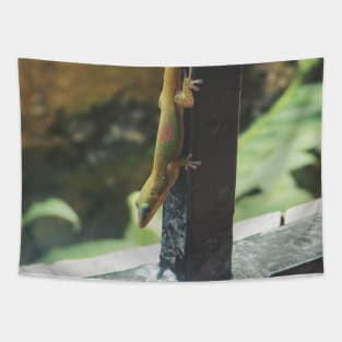 Cute Little Gecko Tapestry