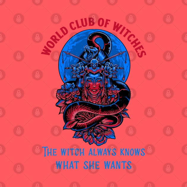 The Witch Always Knows What She Wants / World Club of Witches - V02 by Vladimir Zevenckih