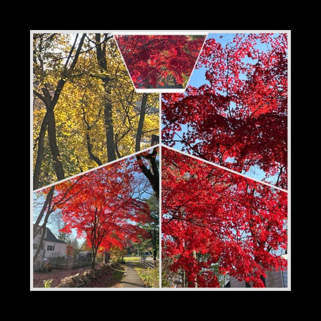 Foliage Collage by Barschall