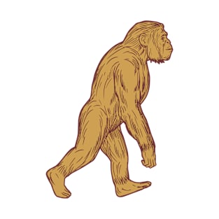 Homo Habilis Walking Side Drawing T-Shirt