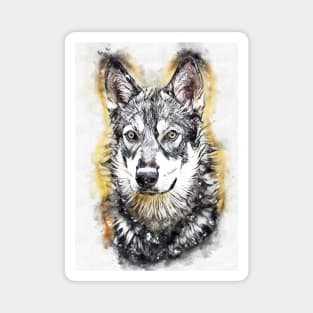 American Alsatian / Dire Wolf Watercolor Abstract Portrait Magnet