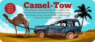 Camel Tow Magnet