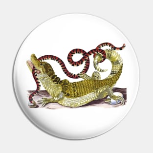 Caiman Alligator And Snake - Vintage Drawing: Pin