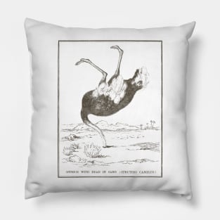 Ostrich with its head in the sand Pillow