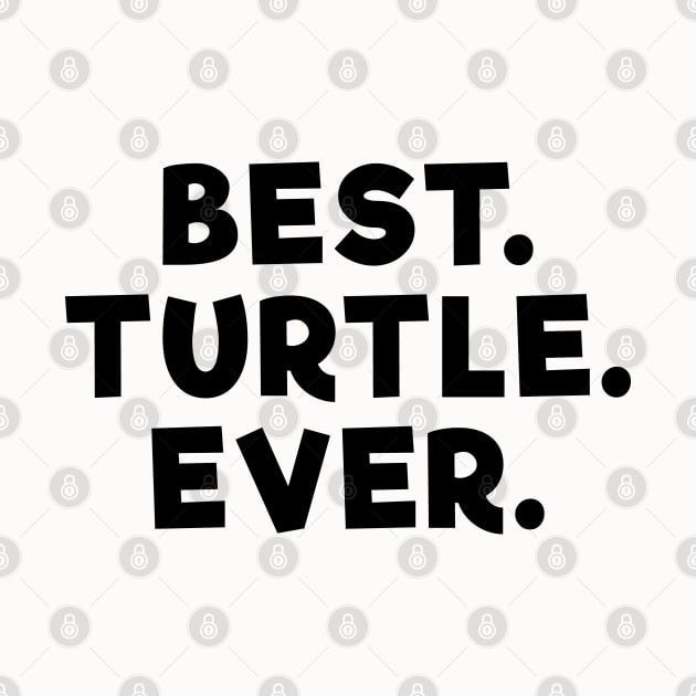 Best Turtle Ever by Dolta