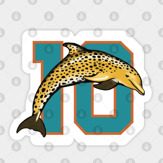 miami dolphins cheetah