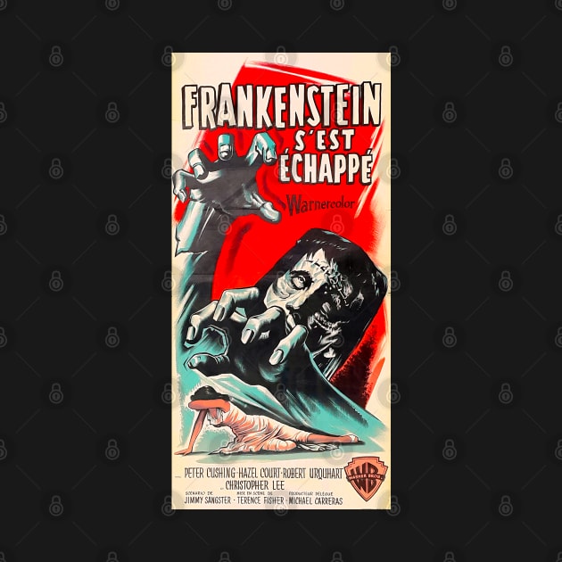 Frankenstein S'Est Échappé 1957 by Pop Fan Shop