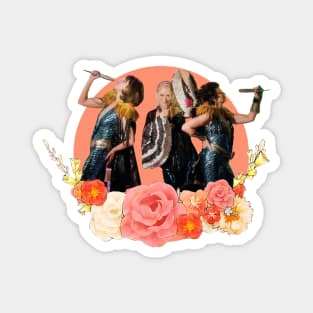 donna and the dynamos Magnet