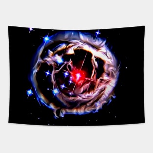 Space - V838 Monocerotis Tapestry