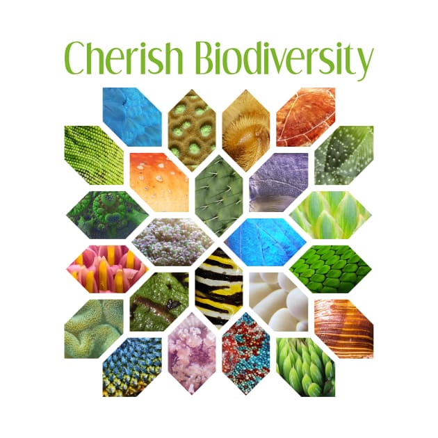 Cherish Biodiversity by donovanh