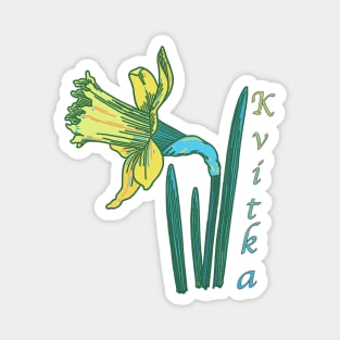 Kvitka narcissus Magnet