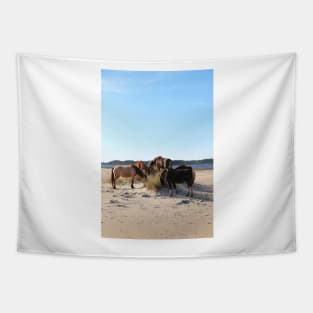 Assateague Beach Ponies Series - 04 Tapestry