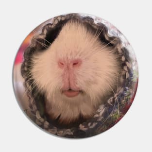 Cute guinea pig in the style of realism Pin