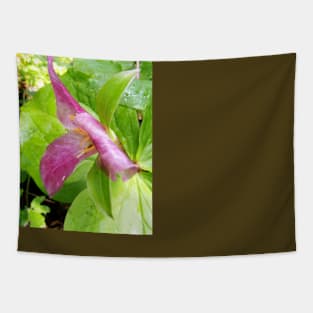 purple trillium #1 Tapestry