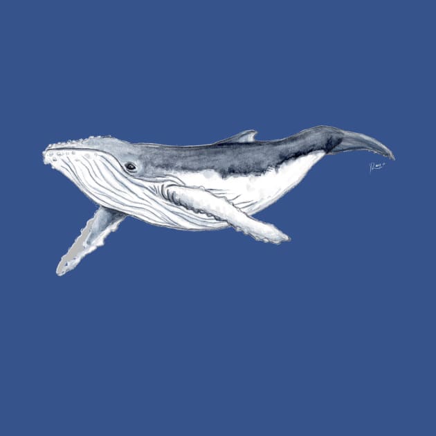 Humpback whale baby by chloeyzoard