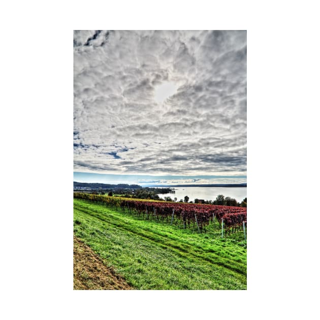 Autumn at Lake Constance, Germany by holgermader