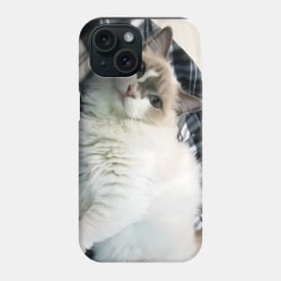 Beautiful Ragdoll Cat at Cat Cafe Phone Case