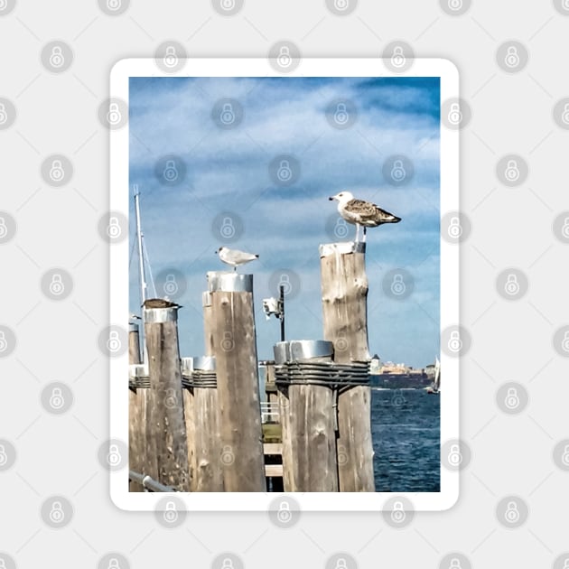 Seagulls, New York City Magnet by eleonoraingrid