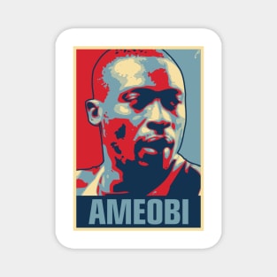 Ameobi Magnet