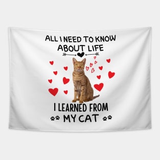 All I Need To Know About Life I Learned From My Cat Tapestry