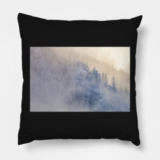 Winter Pacific Northwest Pillow