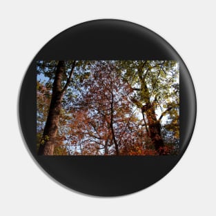 Autumn Leaves III Pin