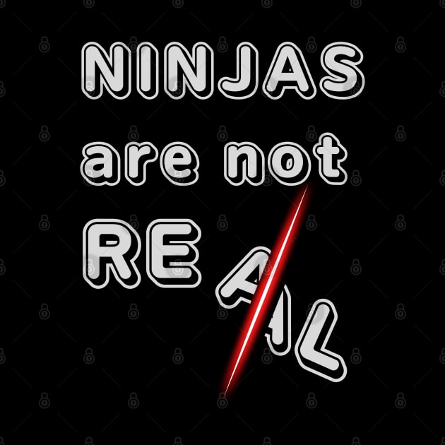 NINJAS ARE NOT REAL by ChilledTaho Visuals