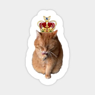 His Majesty Chonklord Ferdinand Magnet