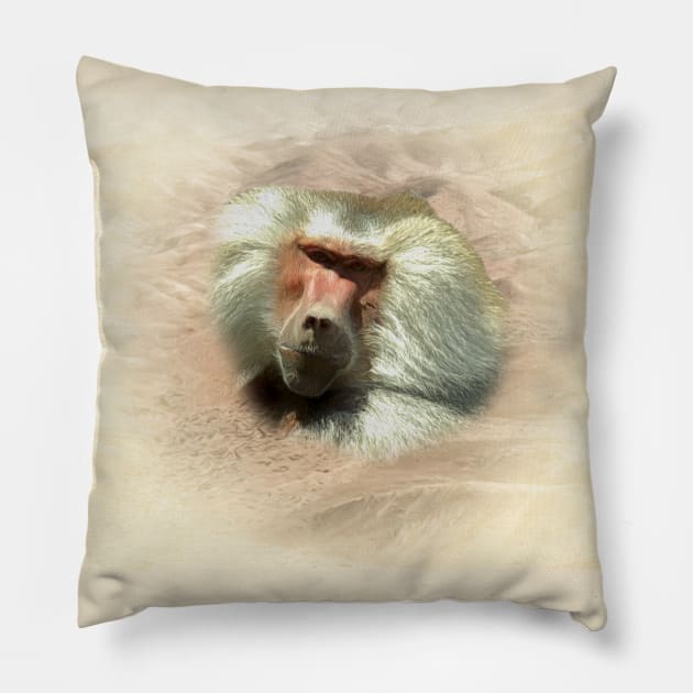 Baboon Pillow by Guardi