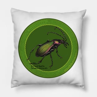 Ground Beetle round Pillow