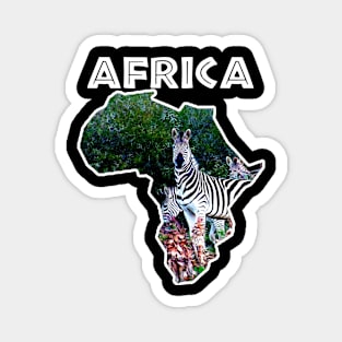 Africa Wildlife Continent Zebra Aloe Magnet