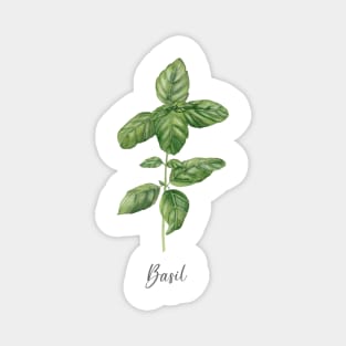 Basil herb painting Magnet