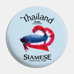 betta splendens Pin