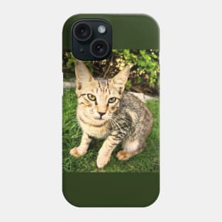 Smart Lovely Cat Phone Case