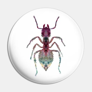 Ant Pin